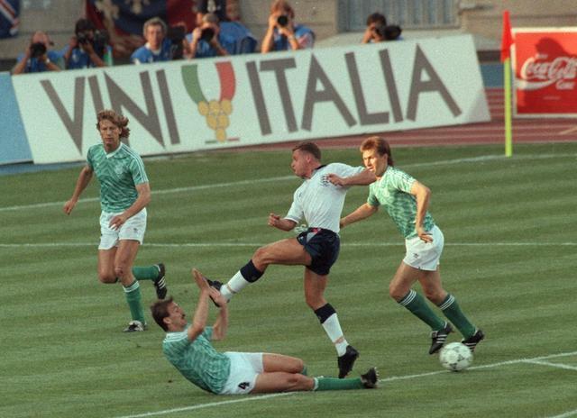 样性和季后 样性和季后