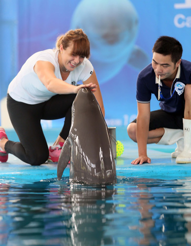 技术含量球 技术含量球